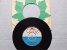Rare 1973 copy the GATHERERS/UPSETTERS 