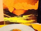 PELICAN - AUSTRALASIA VINYL LP/294 caspian,isis,russian circles,red sparowes