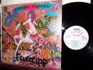 FRUUPP uk LP Future Legends DAWN 3053 orig. GALACTIC RAMBLE prog PSYCH