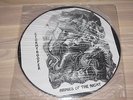 STORMTROOPER PICTURE LP - ARMIES OF THE NIGHT / PRIVATE US METAL in MINT - RAR