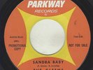 RARE & GREAT DOO WOP 1ST PRESS DJ 45 