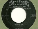 Rare Doo Wop/Jump Blues-Roy Perkins-Here I Am/You're Gone-Meladee 112-VG+