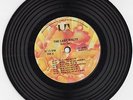 THE BAND - The last waltz, 13-track RADIO SPOT 7