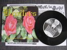 BROILERS - Blume 7