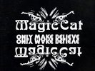 PRIVATE Hard Rock AOR Pomp LP MAGIC CAT