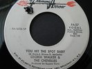 Gloria Walker & the Chevelles 45 You Hit the Spot Baby Flaming Arrow Funk FA-37