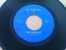 Rare Garage Rock 45 The Runaways 18th Floor Girl / Your Foolish Ways Alamo Audio