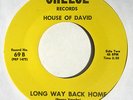 hear: HOUSE OF DAVID psych garage 45 on Cheese - Long Way Back Home