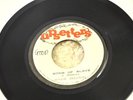 JUNIOR DELGADO  UPSETTER SONS OF SLAVE 7