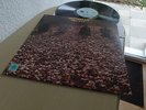 JELLYBREAD FIRST SLICE 1970 MINT 1ST BLUE HORIZON LP