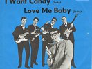 BRIAN POOLE & THE TREMELOES * I Want Candy * Deutsche Beat 45 PS