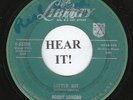 ROCKABILLY TEEN 45 Bobby Lonero (Liberty 55180) Little Bit/The Girl That I...VG+