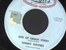 RARE TEEN DOO WOP ROCKABILLY 45 TOMMY WINTERS ON LLOYD'S DREAM STREET LISTEN MP3