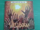 WELLBORN WE GONNA DO IT LP PRIVATE AFRO PSYCH COSMIC DISCO BOOGIE MONSTER ??