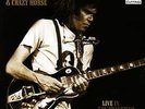 NEIL YOUNG & CRAZY HORSE  - LIVE IN SAN FRANCISCO