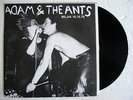 ADAM & THE ANTS * Live in Milan 1978 * LP Mint.