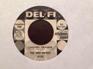 THE NITE HAWKS Chicken Grabber on Del Fi Promo R&B Tittyshaker 45 Hear