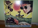 WHAT COLOUR IS THE WIND - 1984 - Francesco De Masi - Soundtrack - OST LP rare