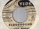 BIG ROCKER 45/LARRY BRIGHT on TIDE promo: Bloodhound
