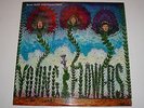 YOUNG FLOWERS - BLOMSTERPISTOLEN - LP  DANISH PROG PSYCH LISTEN
