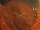 Wilding / Bonus - Pleasure Signals (Sealed) (Brand X) (nude Pic Disc cover art)