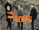 GARY FARR & THE T-BONES * I Am Louisiana Red + 3 * French EP PS Shows YARDBIRDS