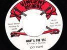 JOEY IRVING - WHATS THE USE - VINCENT  -  LISTEN