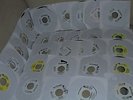 29x REGGAE DANCEHALL VP RECORDS 