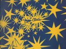 PROGRESSIVE - CLUSTER 