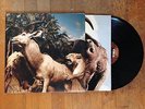 INTERPOL / OUR LOVE TO ADMIRE / CAPITOL RECORDS 2007 RARE OOP