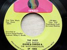 DIANE & CAROLE The Fuzz / Feelin Pain RARE LATIN FUNK BOOGALOO PSYCH LISTEN mp3