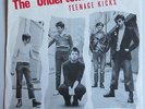 Undertones - Teenage Kicks 1980 Benelux 45 w/Super Unique PS Win & Hold It Tight