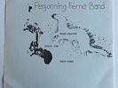 Performing  Ferret Band - Brow Beaten 1981 UK DIY Dead Hippy UK Punk Mintyish...