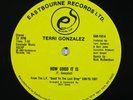 TERRI GONZALEZ How Good It Is/Caught Up 12
