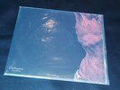 Catharsis Samsara gatefold 2 LP NM integrity his hero is gone crimethinc