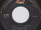 NELLY ZEVALLOS Y SU CONJUNTO  Baila Como Quieras  SALSA RUMBA MAG PERU