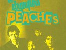 THE STRANGLERS PEACHES/GO BUDDY GO RSD 2014 7