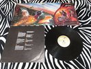 Sodom - Agent Orange (Steam Hammer) (Thrash/Metal/Death) Lp