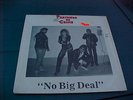PARTNERS IN CRIME NO BIG DEAL LP MUTHA RECORDS 1984 KBD PUNK HC RARE N.J. BAND