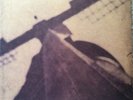 Red House Painters 