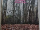 TWINK  -  PINK FAIRIES - THINK PINK  2343-032 VERSION VG/EX