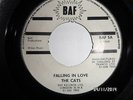 LISTEN SKINHEAD REGGAE - THE CATS - FALLING IN LOVE - BAF RECORDS 1969