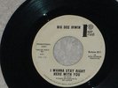 Rare Soul 45 ROTATE #851 BIG DEE IRWIN You Satisfy My Needs / I Wanna Stay