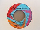 THE PARLIAMENTS - DON'T BE SORE AT ME - ORIGINAL REVILOT - VG++