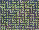 Animal Collective: Merriweather Post Pavilion 2LP NM USA Domino DNO219