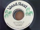 GRUBRICK - TOP RANKING JA. - WEED BEAT 1978 RAREST (KILLER ROOTS) 45 in EX++ 