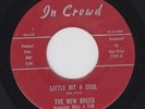 THE NEW BREED Little Bit A Soul 45 on In Crowd Texas Northern Soul HEAR