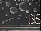 PROGRESSIVE - IBIS 