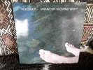 ROEDELIUS - WENN DER SÜDWIND WEHT SKY 064 GROSSE  SKY AUKTION KRAUTROCK