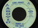 Northern Soul 45   Honey & the Bees   Love Addict   Arctic   mp3 rare